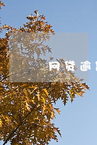 网贷逾期一千多天可以立案么 网贷逾期一千多天可以立案么