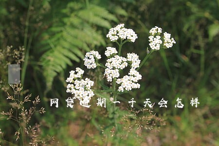网贷逾期一千天会怎样 网贷逾期一千天会怎样