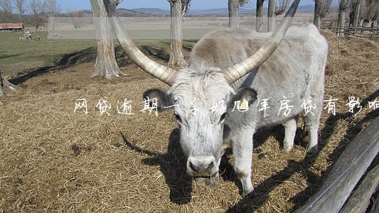 网贷逾期一千好几年房贷有影响吗 网贷逾期一千好几年房贷有影响吗