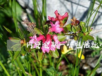 网贷逾期一听电话就心慌