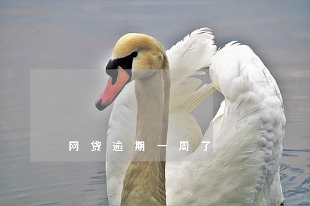 网贷逾期一周了 网贷逾期一周了