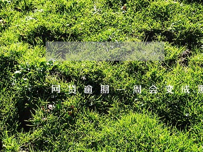 网贷逾期一周会变成黑户吗 网贷逾期一周会变成黑户吗