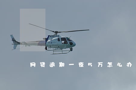 网贷逾期一夜5万怎么办 网贷逾期一夜5万怎么办