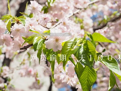 网贷逾期一天100利息多少 网贷逾期一天100利息多少