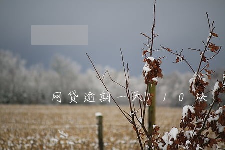 网贷逾期一天110块 网贷逾期一天110块
