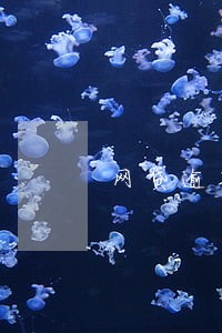 网贷逾期一天35块 网贷逾期一天35块