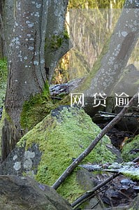 网贷逾期一天37元合法吗 网贷逾期一天37元合法吗