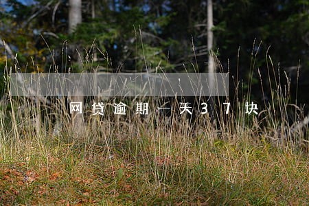 网贷逾期一天37块 网贷逾期一天37块
