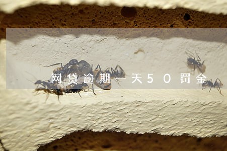 网贷逾期一天50罚金 网贷逾期一天50罚金