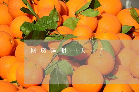 网贷逾期一天一万 网贷逾期一天一万