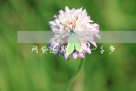 网贷逾期一天一千多 网贷逾期一天一千多