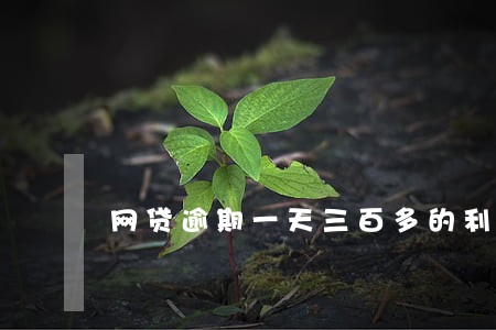 网贷逾期一天三百多的利息 网贷逾期一天三百多的利息