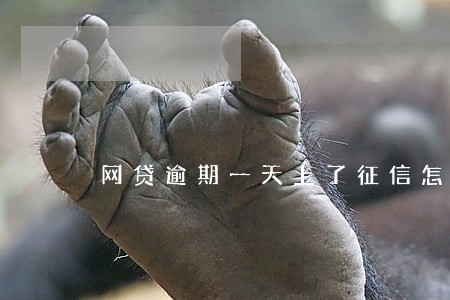 网贷逾期一天上了征信怎么处理 网贷逾期一天上了征信怎么处理