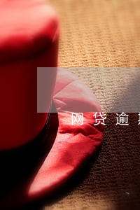 网贷逾期一天上征信影响大吗 网贷逾期一天上征信影响大吗