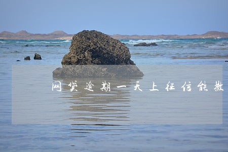 网贷逾期一天上征信能撤消吗 网贷逾期一天上征信能撤消吗
