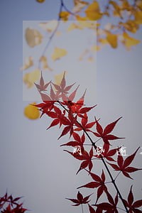 网贷逾期一天上征信能消除吗 网贷逾期一天上征信能消除吗