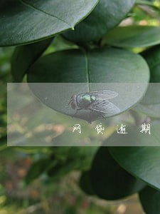 网贷逾期一天不接电话有事吗 网贷逾期一天不接电话有事吗