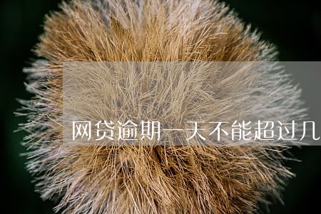 网贷逾期一天不能超过几个电话 网贷逾期一天不能超过几个电话