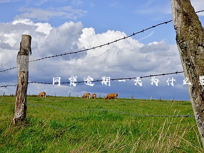 网贷逾期一天为什么影响征信 网贷逾期一天为什么影响征信