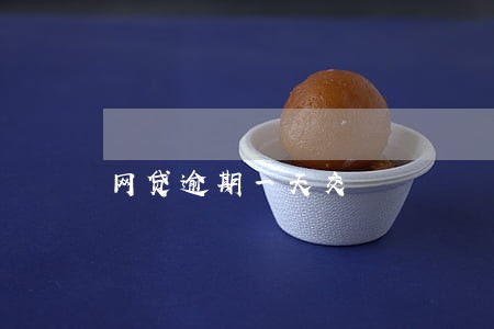 网贷逾期一天交 网贷逾期一天交