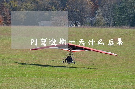 网贷逾期一天什么后果 网贷逾期一天什么后果
