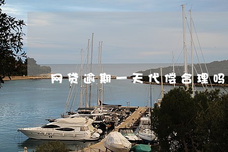 网贷逾期一天代偿合理吗 网贷逾期一天代偿合理吗