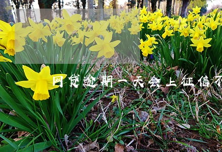 网贷逾期一天会上征信不 网贷逾期一天会上征信不