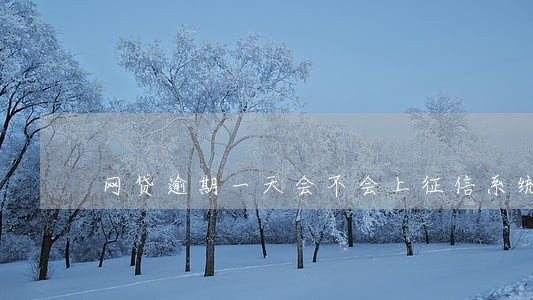 网贷逾期一天会不会上征信系统 网贷逾期一天会不会上征信系统