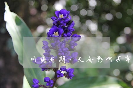 网贷逾期一天会影响买车吗 网贷逾期一天会影响买车吗