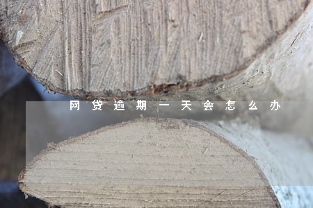 网贷逾期一天会怎么办 网贷逾期一天会怎么办