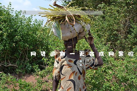 网贷逾期一天会成网黑吗 网贷逾期一天会成网黑吗