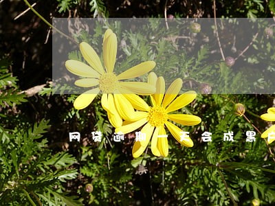 网贷逾期一天会成黑户吗 网贷逾期一天会成黑户吗