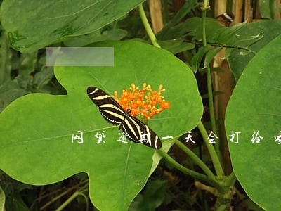 网贷逾期一天会打给家人