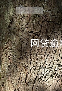 网贷逾期一天会被催收吗 网贷逾期一天会被催收吗