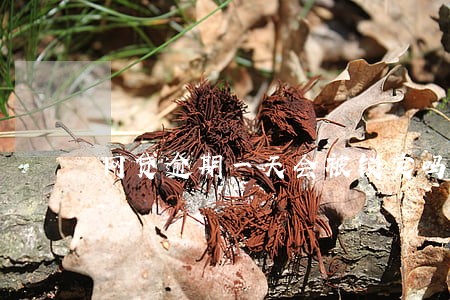 网贷逾期一天会被锁定吗 网贷逾期一天会被锁定吗