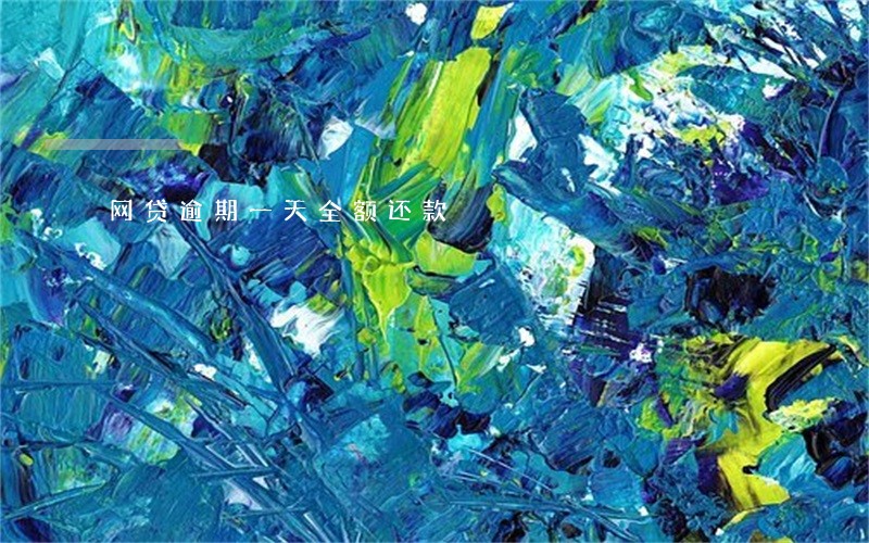 网贷逾期一天全额还款