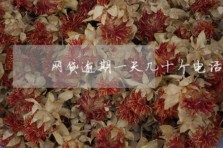 网贷逾期一天几十个电话 网贷逾期一天几十个电话