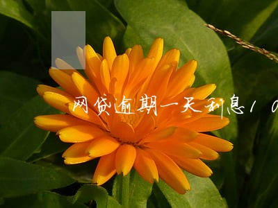 网贷逾期一天利息100块 网贷逾期一天利息100块