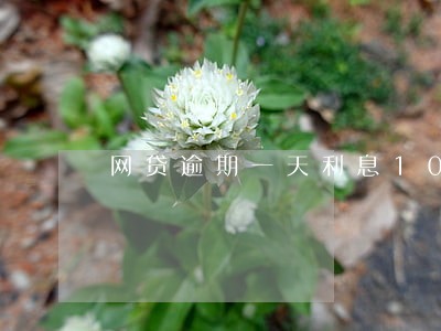 网贷逾期一天利息10快贵吗 网贷逾期一天利息10快贵吗