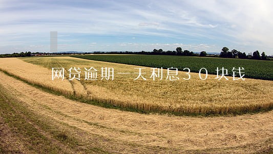 网贷逾期一天利息30块钱 网贷逾期一天利息30块钱