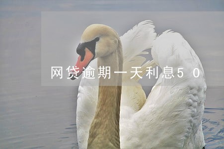 网贷逾期一天利息50 网贷逾期一天利息50