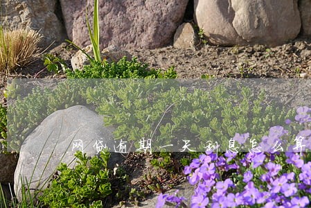 网贷逾期一天利息怎么算的 网贷逾期一天利息怎么算的