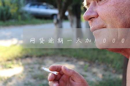 网贷逾期一天加1000利息 网贷逾期一天加1000利息