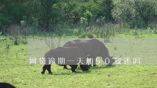 网贷逾期一天加50要还吗 网贷逾期一天加50要还吗