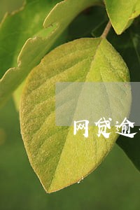 网贷逾期一天加80