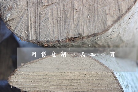 网贷逾期一天加一百 网贷逾期一天加一百