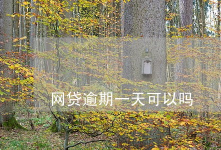 网贷逾期一天可以吗 网贷逾期一天可以吗
