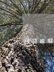 网贷逾期一天可以消除了吗 网贷逾期一天可以消除了吗