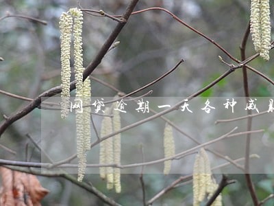 网贷逾期一天各种威胁 网贷逾期一天各种威胁