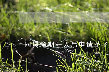 网贷逾期一天后申请不了 网贷逾期一天后申请不了